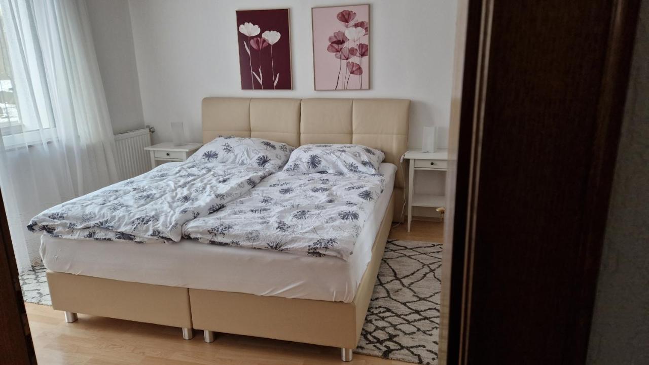 Ferienwohnung Edeltraud, Fusslaeufig Zum See Und 20 Minuten Vom Skigebiet Entfernt デーブリアッハ エクステリア 写真